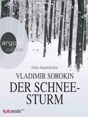 cover image of Der Schneesturm (Ungekürzte Lesung)